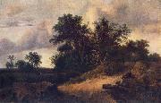 Jacob van Ruisdael Landscape with House in the Grove oil painting reproduction